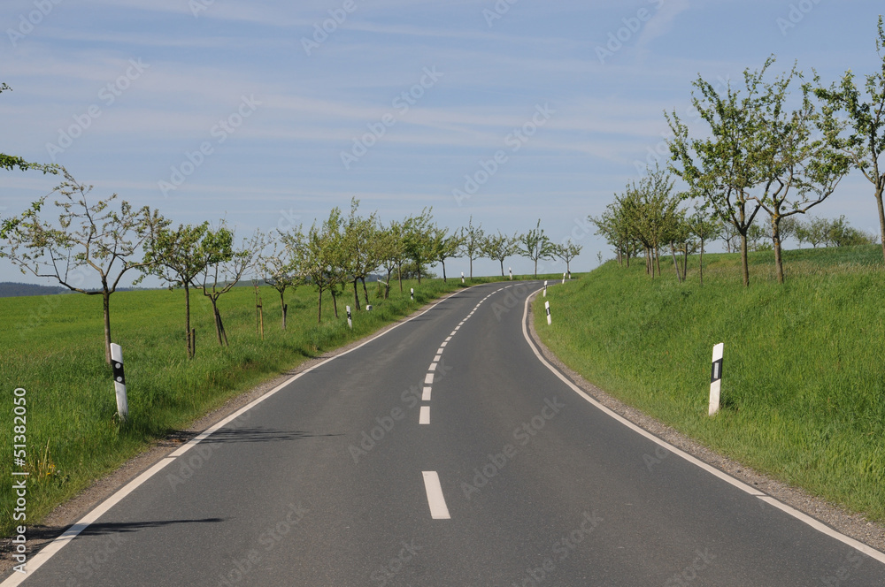 Fototapeta premium Landstrasse im Taunus,Hessen.