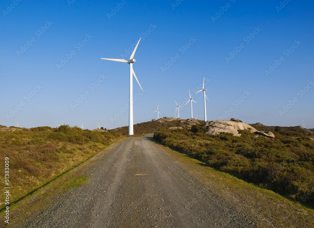 Wind turbines and trail