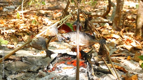 Grilled fish with the traditional bonfire.