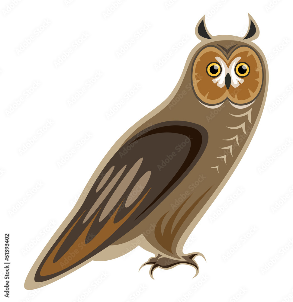 Obraz premium Long-eared Owl