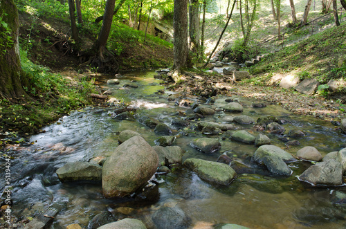 river bottom with large stone in forest