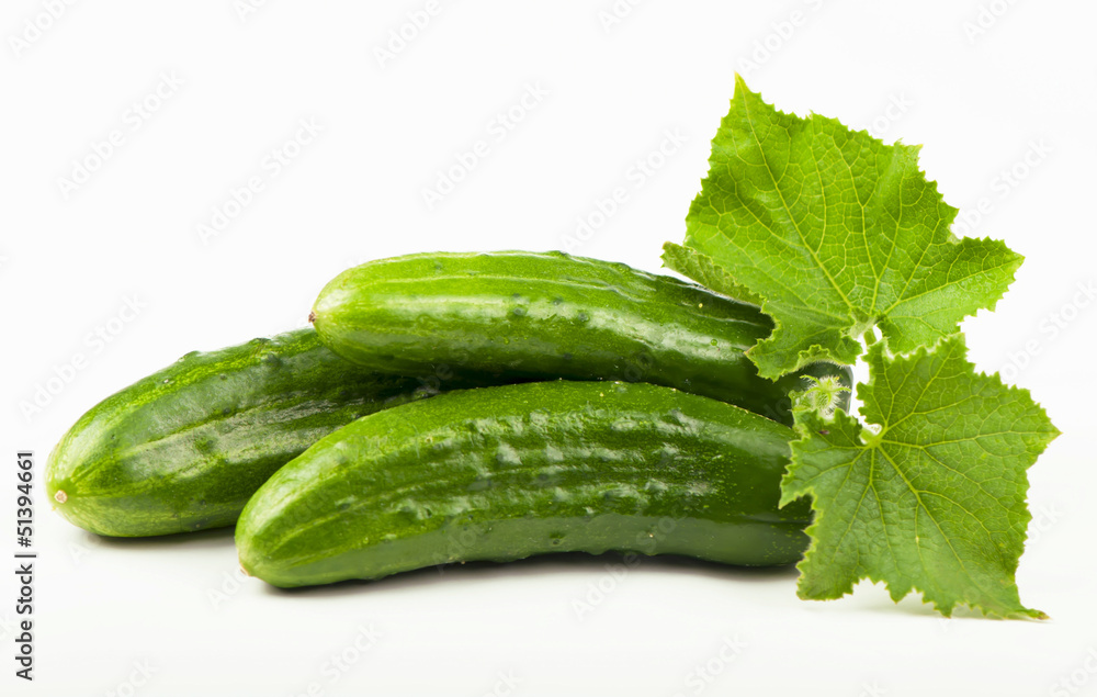 Cucumbers on a white background Cucumbers on a white background