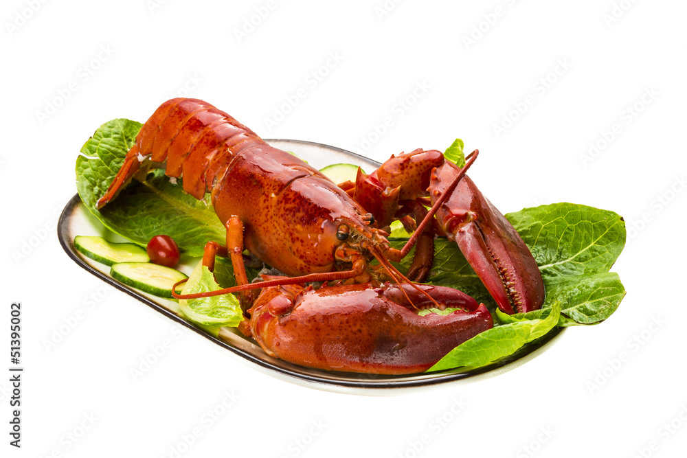 Large Lobster