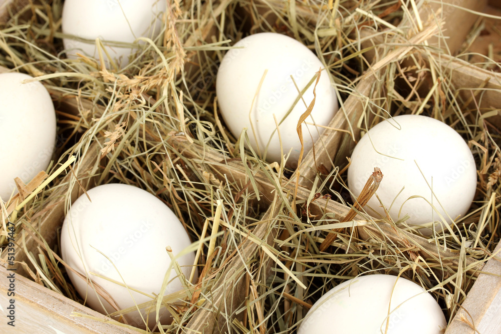 Obraz premium Easter eggs in wooden basket close up