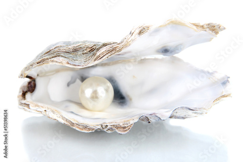 Photo Open oyster with pearl isolated on white