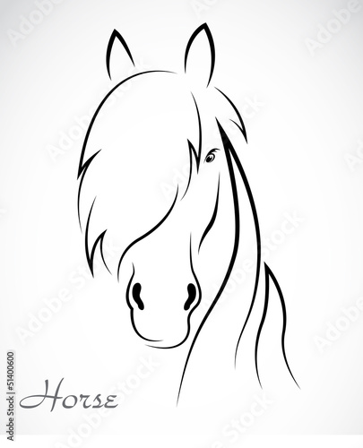 Vector image of an horse on white background