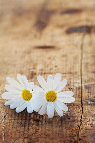 Flowers on a Wooden Background