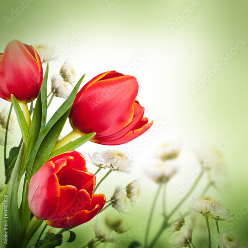 Fototapeta Naklejka Na Ścianę i Meble -  Bouquet of red tulips against a dark background