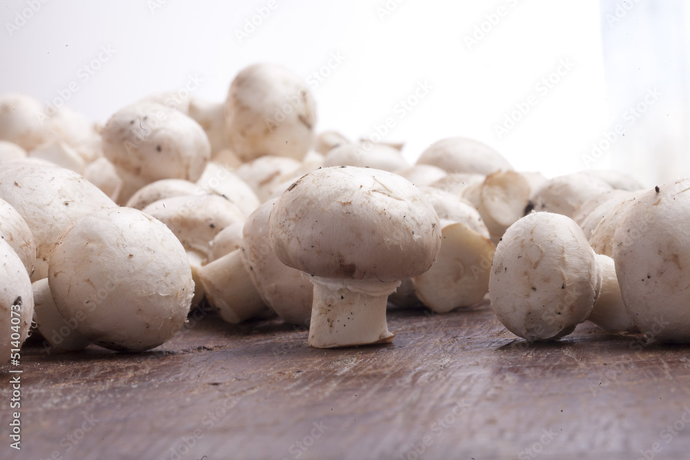 Frische Pilze