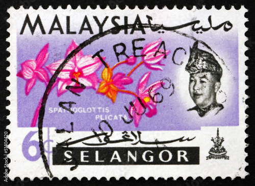 Postage stamp Malaysia 1965 Philippine Orchid, Orchid Flower © laufer