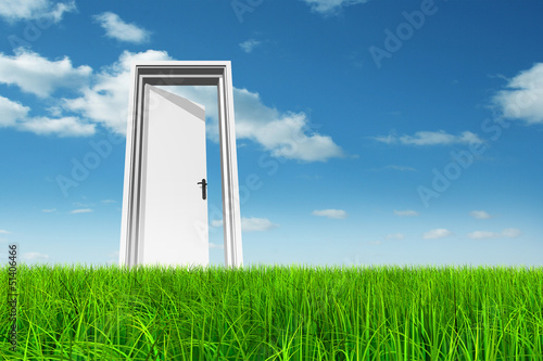 Conceptual opened door in grass