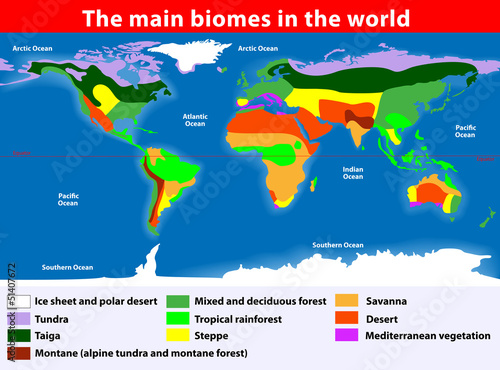 The main biomes in the world