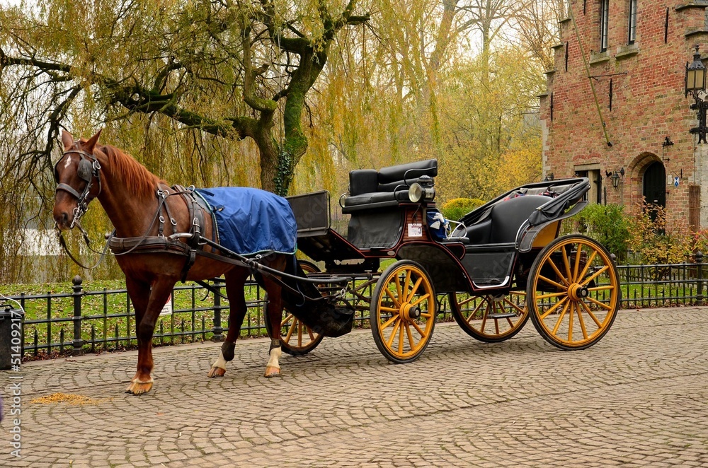 Immaculate horse and carriage Brugge Belgium