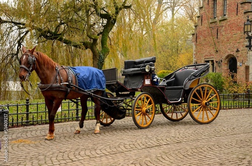 Immaculate horse and carriage Brugge Belgium