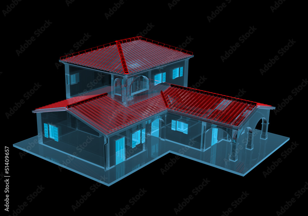 House (3D xray blue transparent) House (3D xray blue transparent)