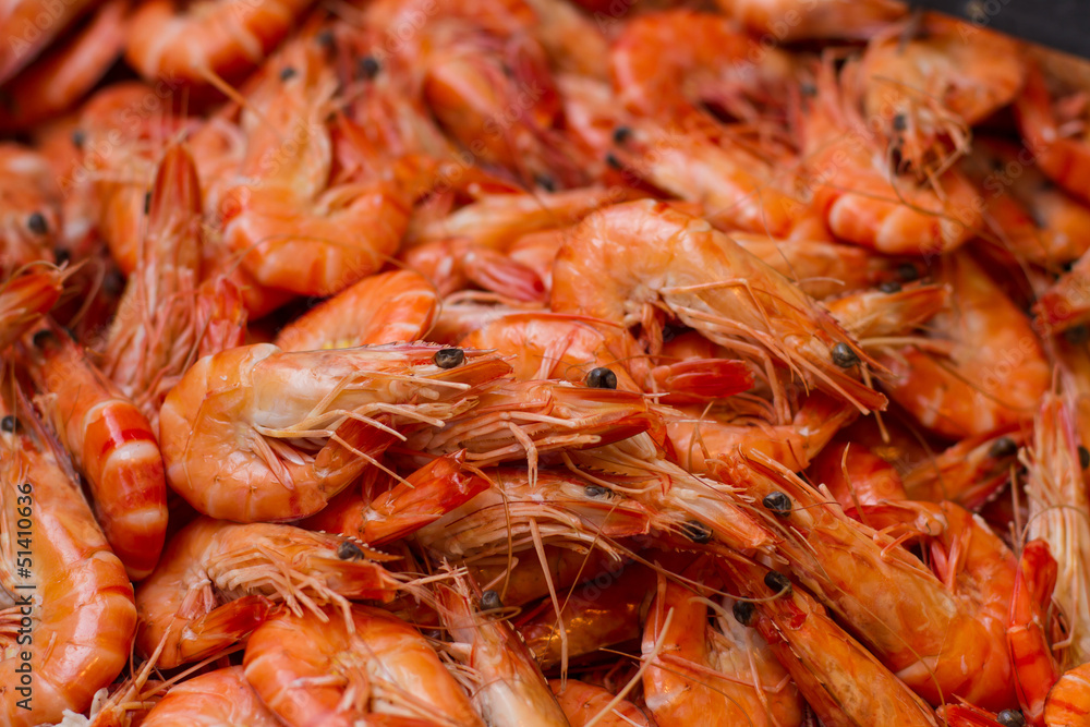 closeup on fresh prawns closeup on fresh prawns