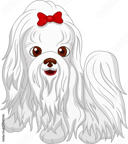 Cute dog cartoon