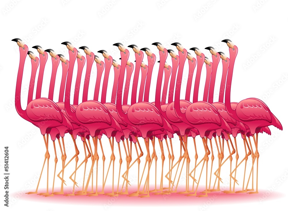 Obraz premium Grupa Pink Flamingos - Flock-Pink Flamingos Group