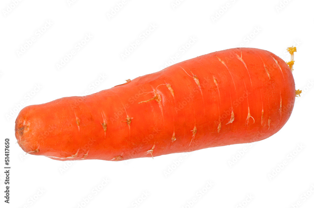 carrots on a white background carrots on a white background