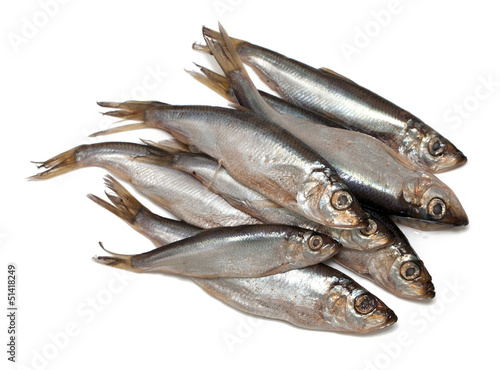 sprat fish