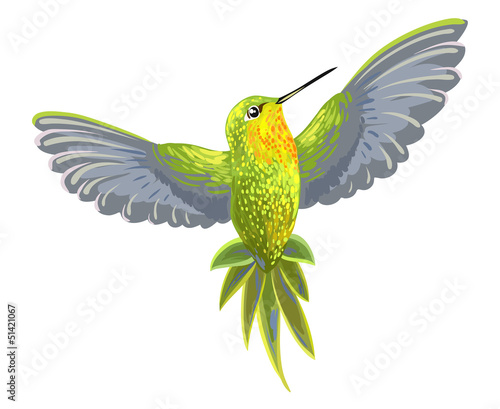Hummingbird