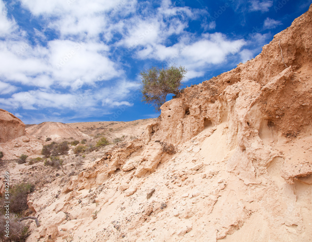 Fototapeta premium Inland Northern Fuerteventura