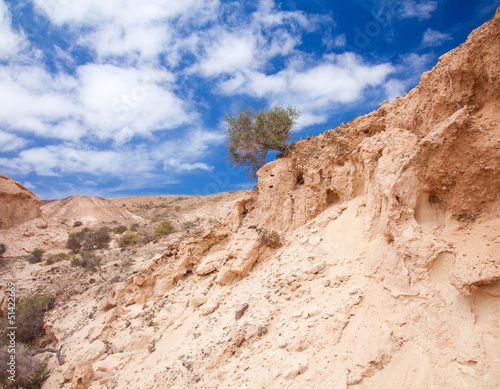 Inland Northern Fuerteventura