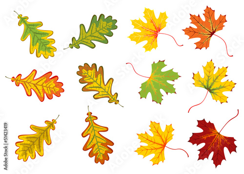 Autumn Leaves