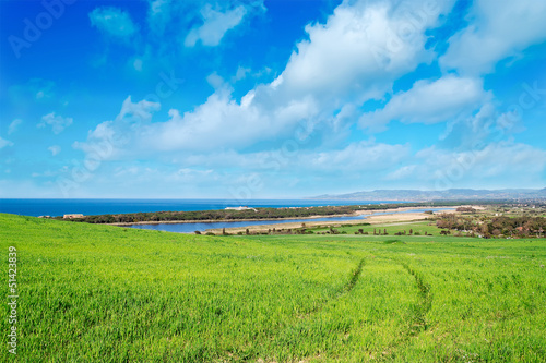 meadow by the shore