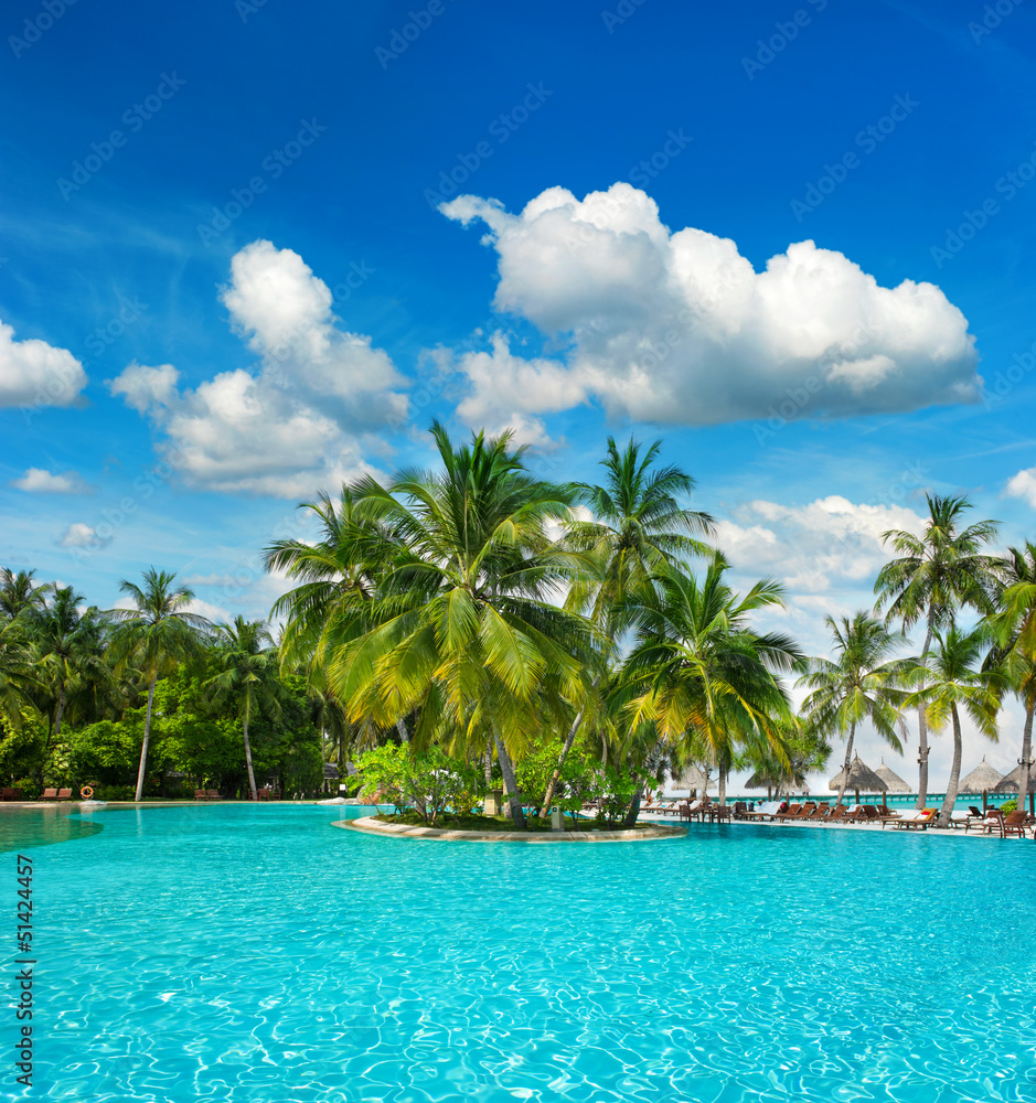 swimming pool with palm trees and blue sky