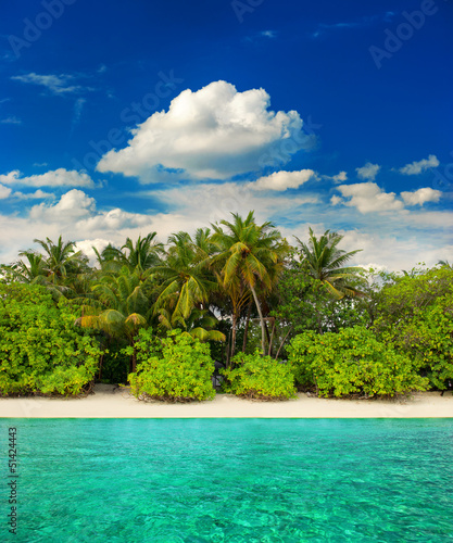 landscape of tropical island beach