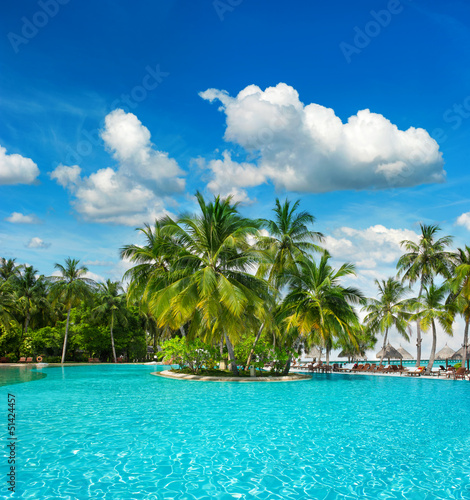swimming pool with palm trees and blue sky © LiliGraphie