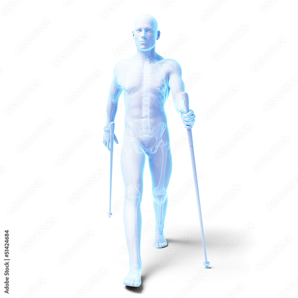 3d rendered medical illustration - nordic walking 3d rendered medical illustration - nordic walking