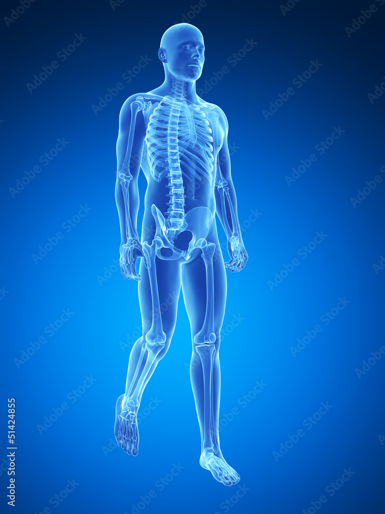 3d rendered medical illustration - walking guy 3d rendered medical illustration - walking guy