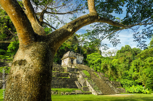 Palenque Tree and Temple
