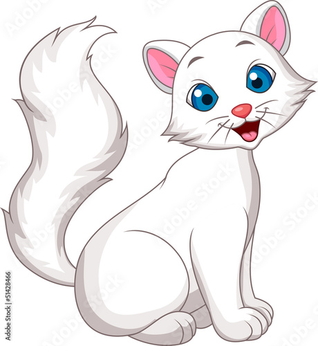 Cute white cat sitting