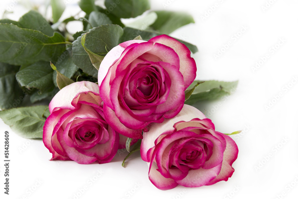bouquet of pink roses bouquet of pink roses