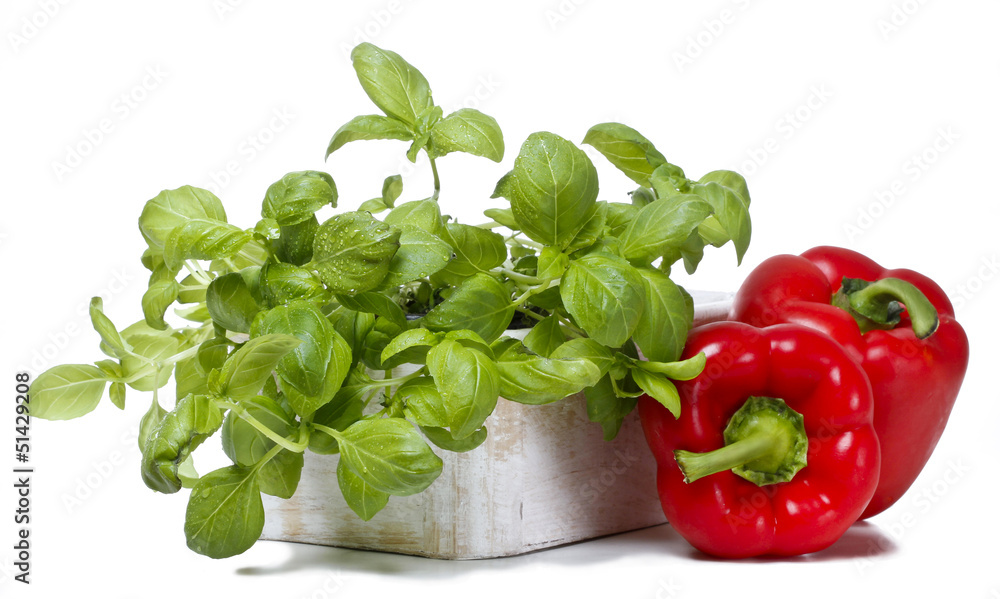 Basil and red peppers isolated on white background Basil and red peppers isolated on white background