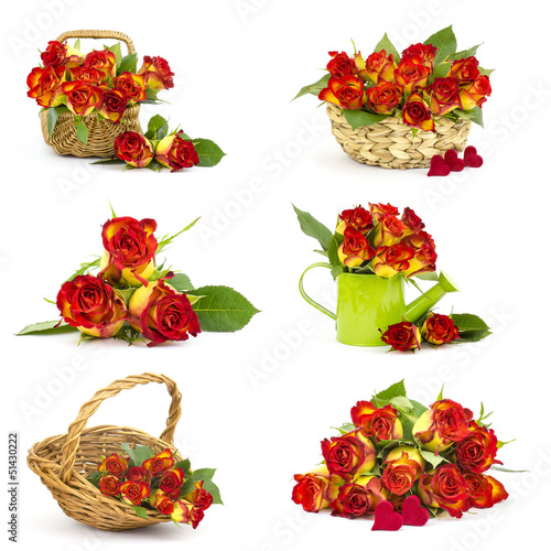 red and yellow roses - collage