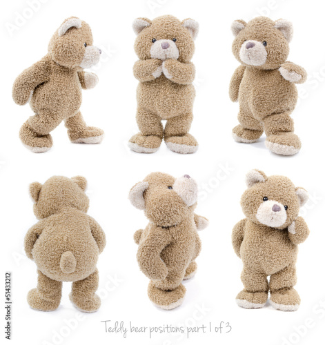 Teddy bear positions part 1 of 3 photo