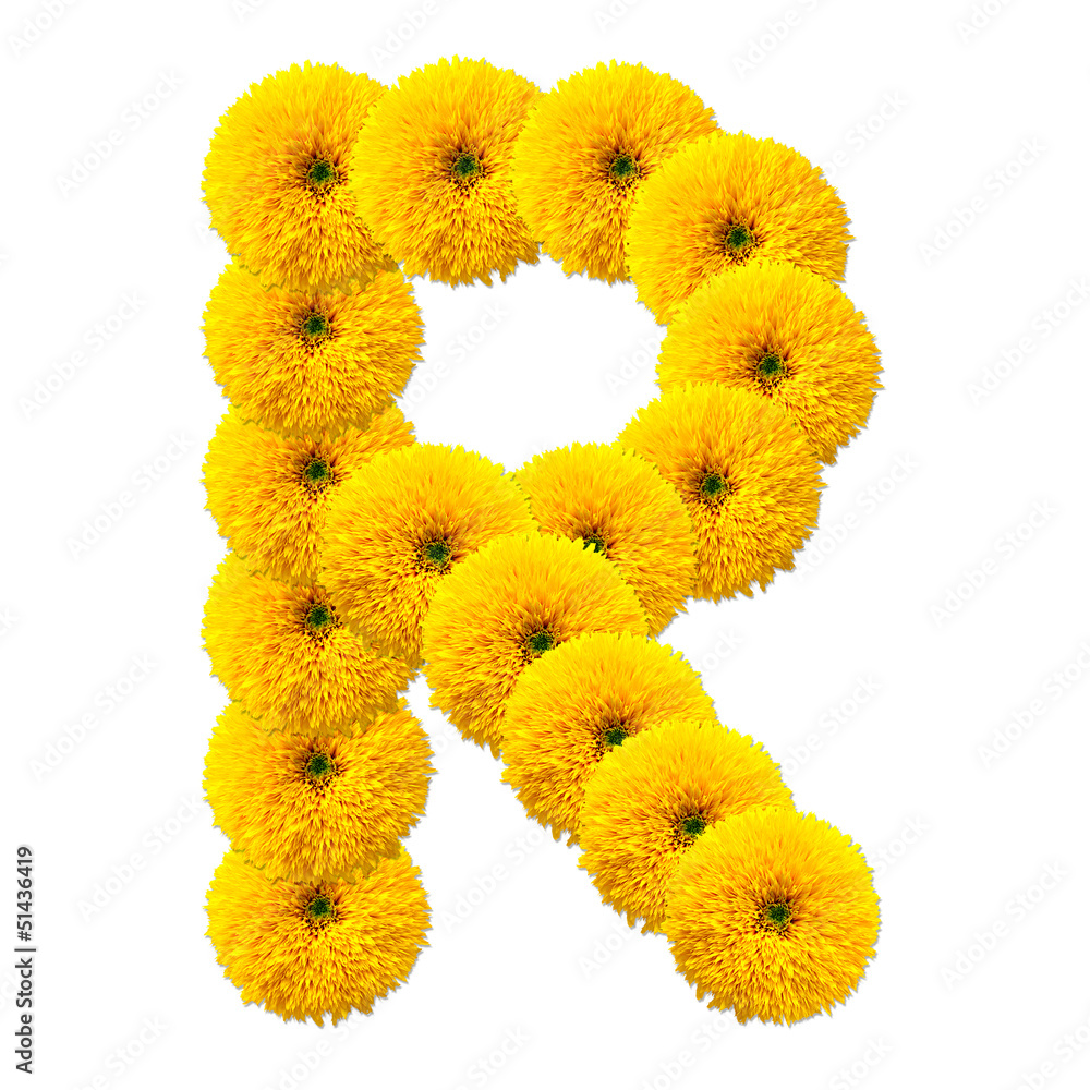 letter of the alphabet of flowers
