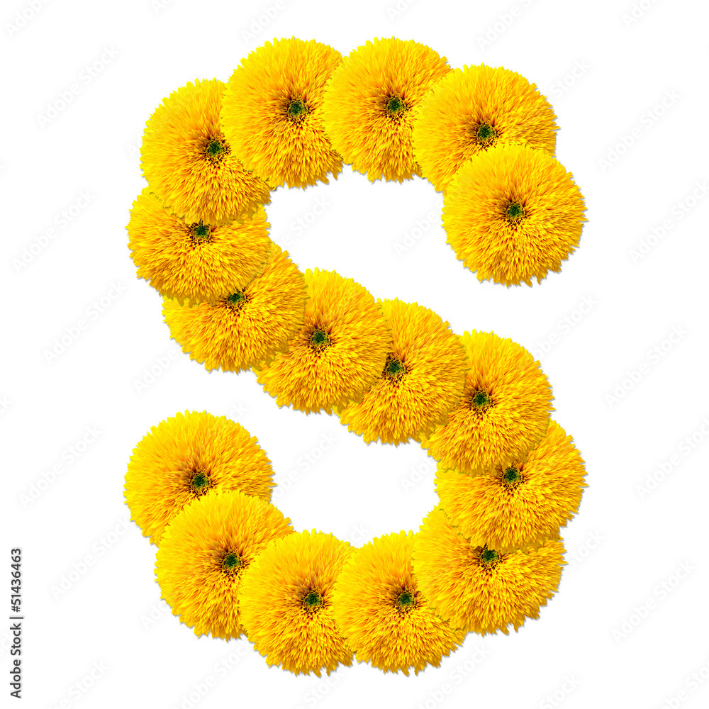 letter of the alphabet of flowers letter of the alphabet of flowers