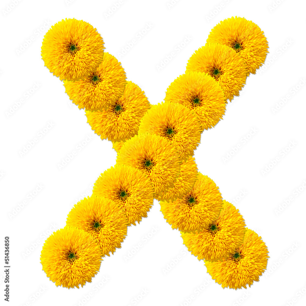 letter of the alphabet of flowers letter of the alphabet of flowers