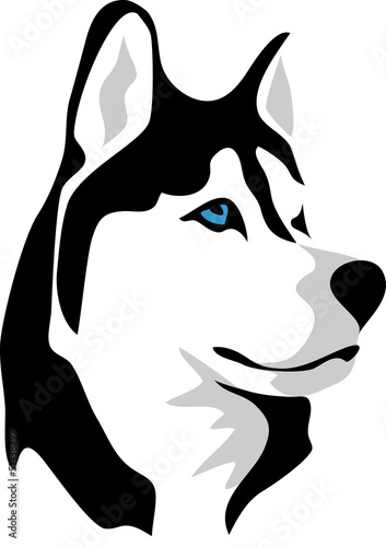 head of malamute