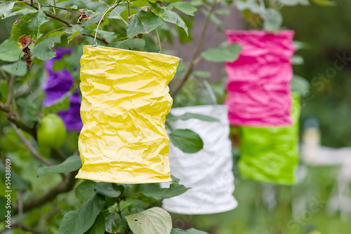 Laternen im Garten