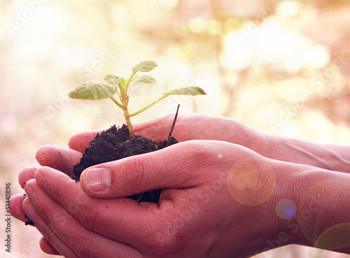Hand holding plant seed