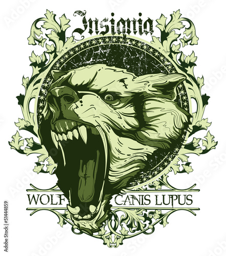 Canis lupus insignia