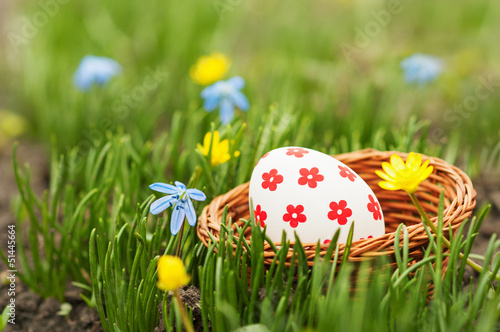 Easter Eggs in basket on grass