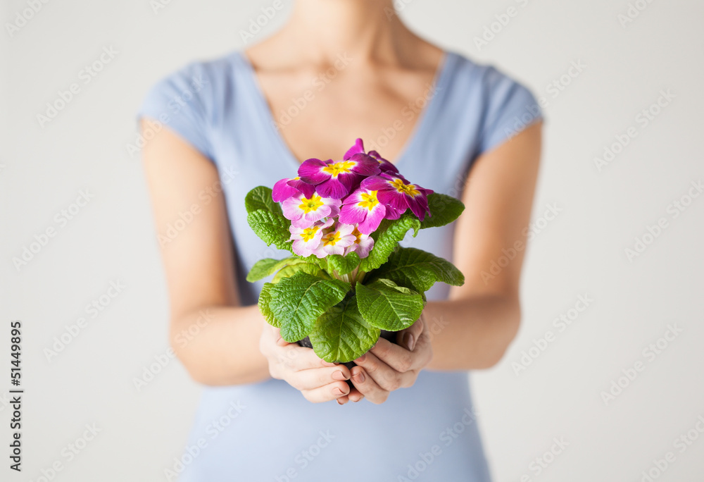 woman's hands holding flower in pot