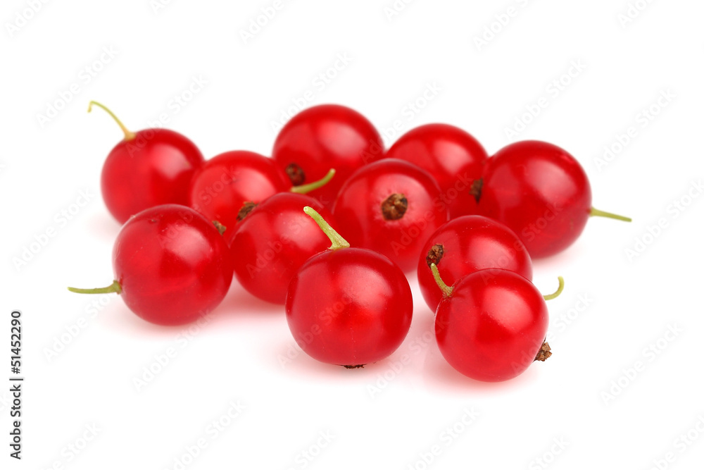 Red currant in closeup Red currant in closeup
